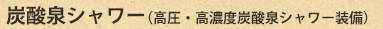 炭酸泉シャワー（高圧・高濃度炭酸泉シャワー装備）